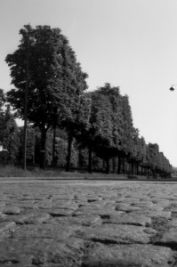 Cours la Reine - 19 avril 2020 11h26