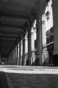 Palais Royal - 24 avril 2020 12h00